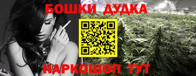 дмт Нальчик