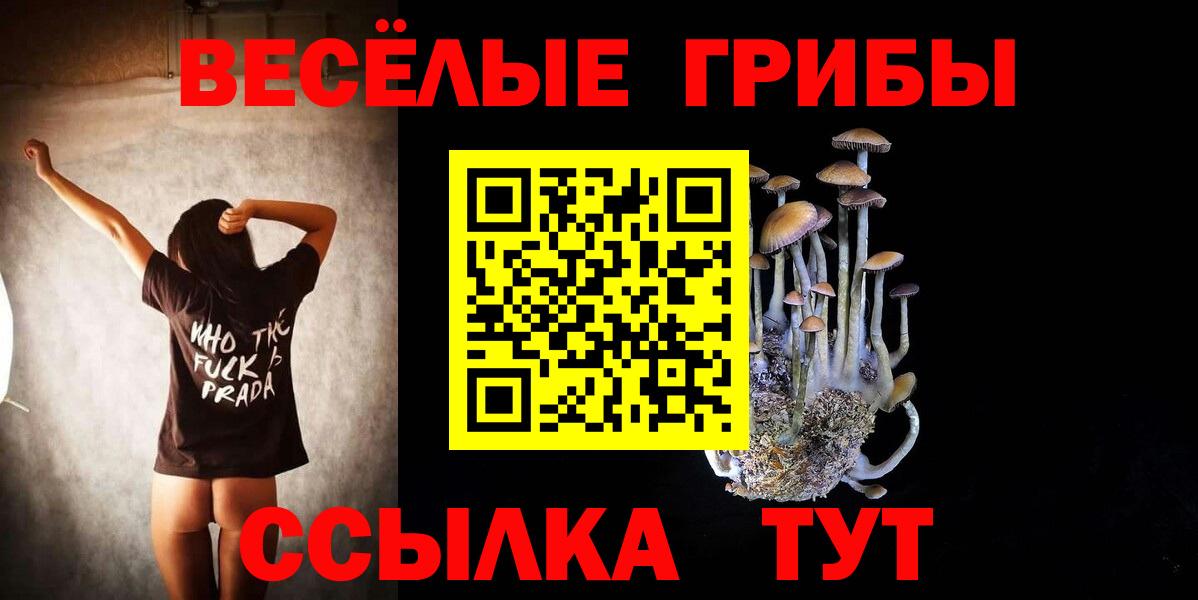 Псилоцибиновые грибы Cubensis  Вход с VPN  Шарыпово  Псилоцибиновые грибы мухоморы 